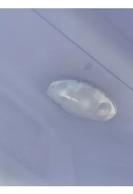 FREIGHTLINER CASCADIA 125 INTERIOR CAB LIGHT