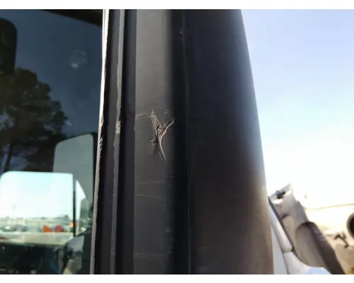 FREIGHTLINER CASCADIA 125 MIRROR ASSEMBLY CABDOOR