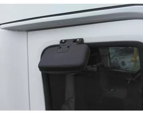 FREIGHTLINER CASCADIA 125 MIRROR LOOK DOWN