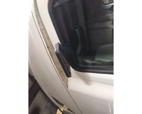 FREIGHTLINER CASCADIA 125 MIRROR LOOK DOWN