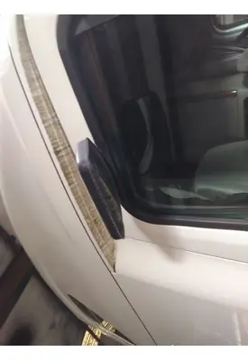 FREIGHTLINER CASCADIA 125 MIRROR LOOK DOWN
