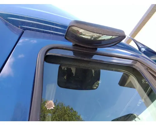 FREIGHTLINER CASCADIA 125 MIRROR LOOK DOWN