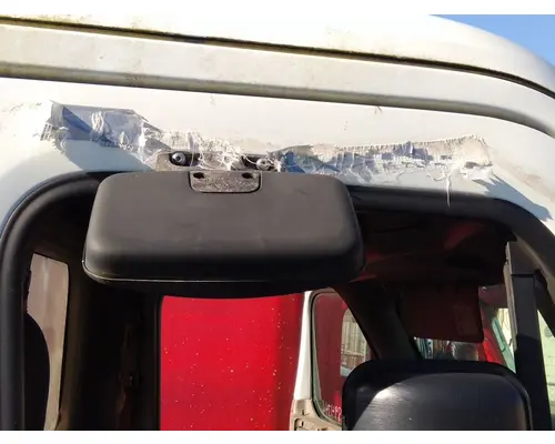 FREIGHTLINER CASCADIA 125 MIRROR LOOK DOWN
