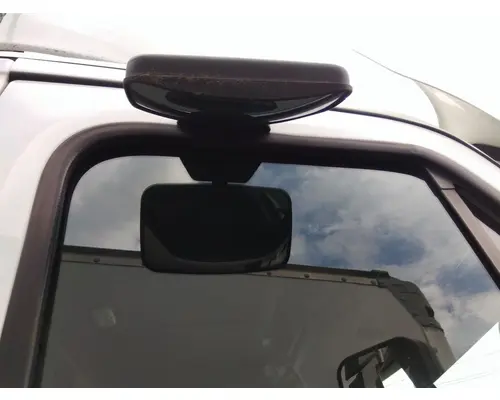 FREIGHTLINER CASCADIA 125 MIRROR LOOK DOWN