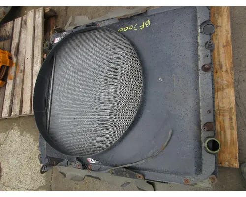 FREIGHTLINER CASCADIA 125 Radiator