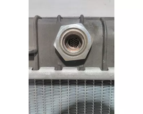 FREIGHTLINER CASCADIA 125 Radiator