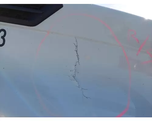 FREIGHTLINER CASCADIA 126 2017-2025 HOOD