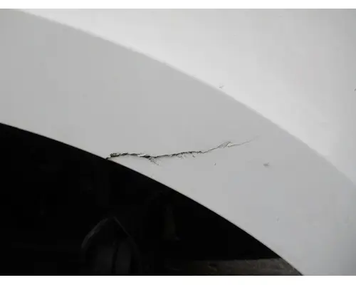 FREIGHTLINER CASCADIA 126 2017-2025 HOOD