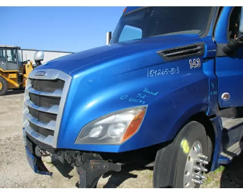 FREIGHTLINER CASCADIA 126 2017-2025 HOOD