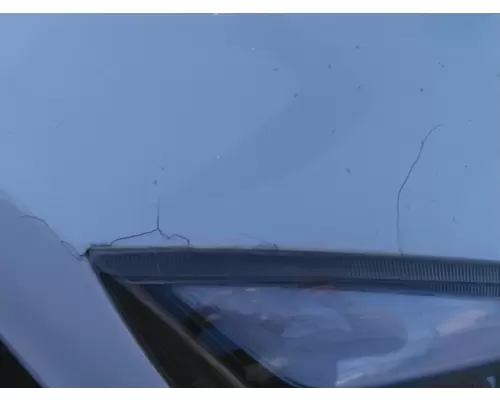 FREIGHTLINER CASCADIA 126 2017-2025 HOOD