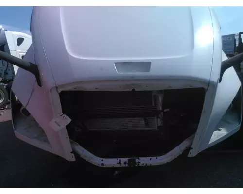 FREIGHTLINER CASCADIA 126 2017-2025 HOOD