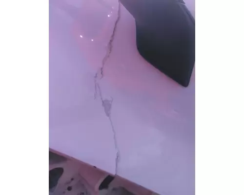 FREIGHTLINER CASCADIA 126 2017-2025 HOOD