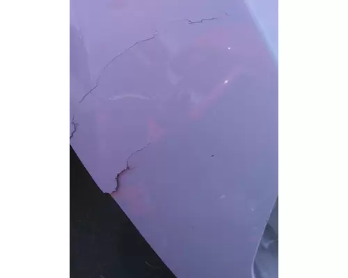 FREIGHTLINER CASCADIA 126 2017-2025 HOOD