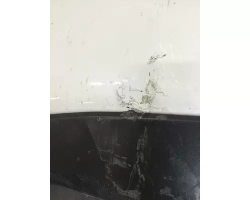 FREIGHTLINER CASCADIA 126 2017-2025 HOOD