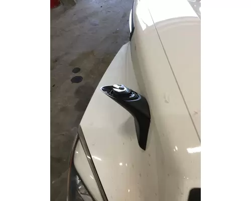 FREIGHTLINER CASCADIA 126 2017-2025 HOOD