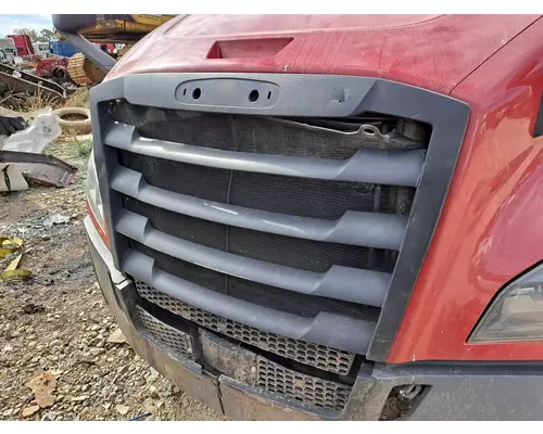 FREIGHTLINER CASCADIA 126 2017-2025 HOOD