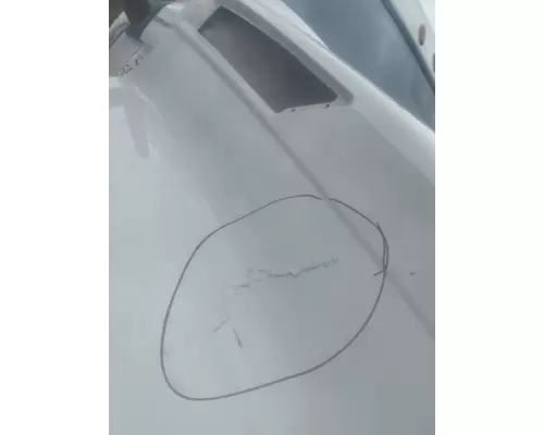 FREIGHTLINER CASCADIA 126 2017-2025 HOOD