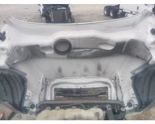 FREIGHTLINER CASCADIA 126 2017-2025 HOOD