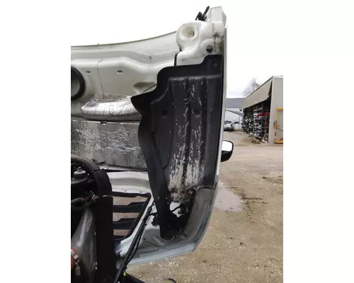 FREIGHTLINER CASCADIA 126 2017-2025 HOOD