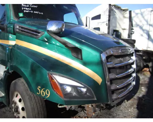 FREIGHTLINER CASCADIA 126 2017-2025 HOOD