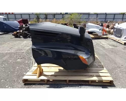 FREIGHTLINER CASCADIA 126 2017-2025 HOOD