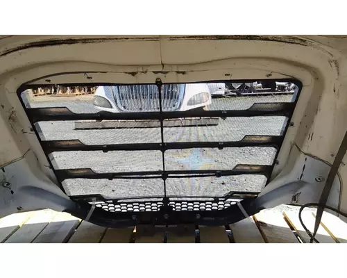 FREIGHTLINER CASCADIA 126 2017-2025 HOOD