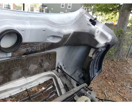 FREIGHTLINER CASCADIA 126 2017-2025 HOOD