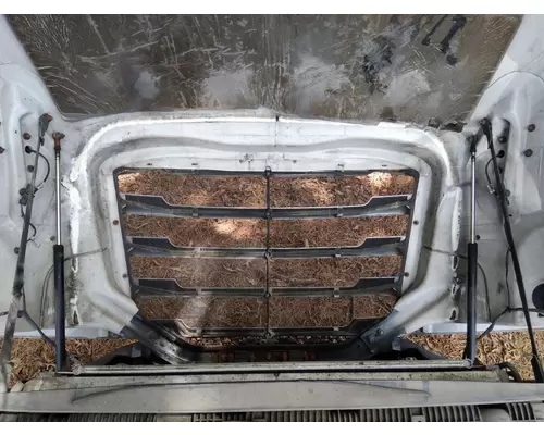 FREIGHTLINER CASCADIA 126 2017-2025 HOOD