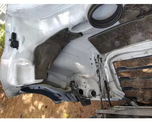 FREIGHTLINER CASCADIA 126 2017-2025 HOOD