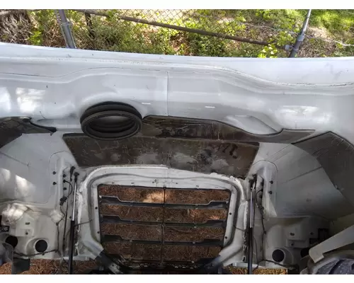 FREIGHTLINER CASCADIA 126 2017-2025 HOOD