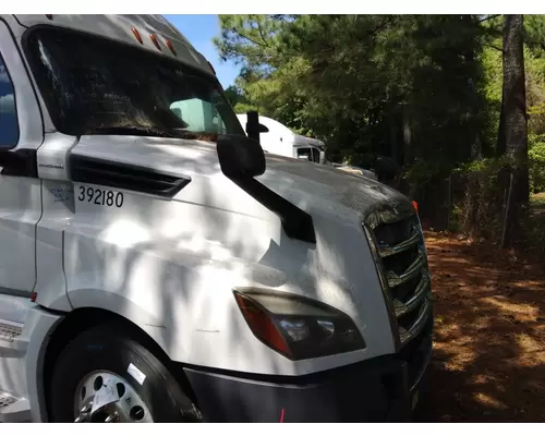 FREIGHTLINER CASCADIA 126 2017-2025 HOOD