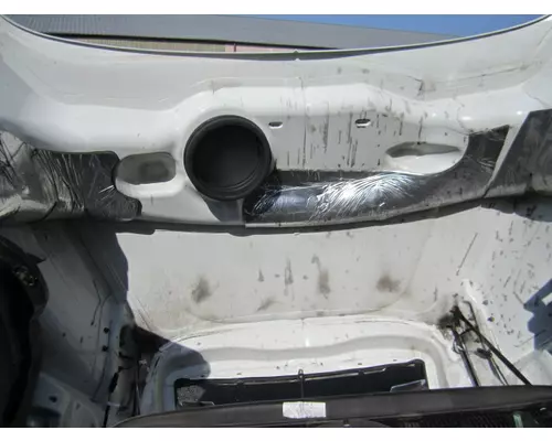 FREIGHTLINER CASCADIA 126 2017-2025 HOOD