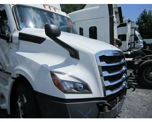 FREIGHTLINER CASCADIA 126 2017-2025 HOOD