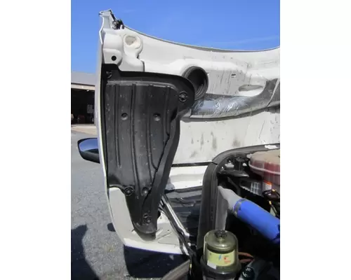 FREIGHTLINER CASCADIA 126 2017-2025 HOOD