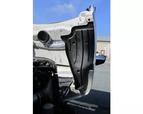 FREIGHTLINER CASCADIA 126 2017-2025 HOOD