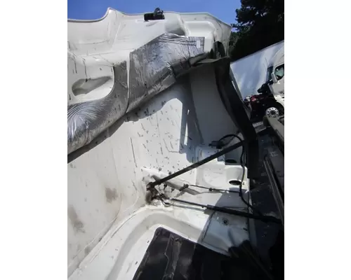 FREIGHTLINER CASCADIA 126 2017-2025 HOOD
