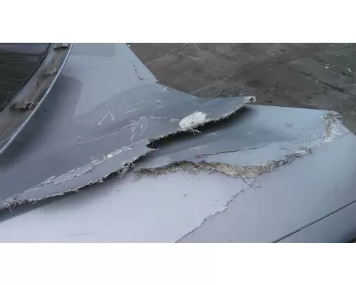 FREIGHTLINER CASCADIA 126 2017-2025 HOOD