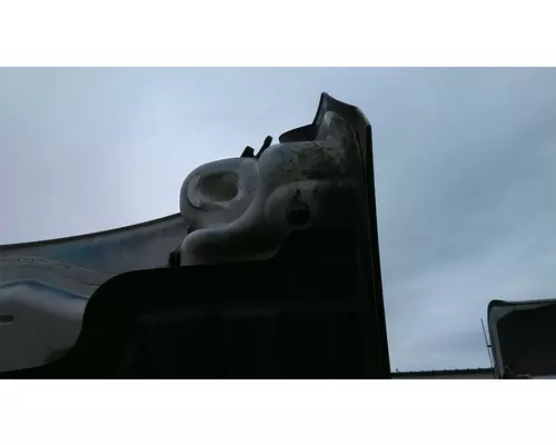 FREIGHTLINER CASCADIA 126 2017-2025 HOOD