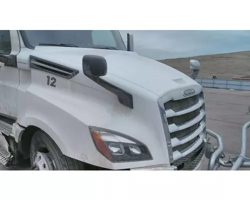 FREIGHTLINER CASCADIA 126 2017-2025 HOOD