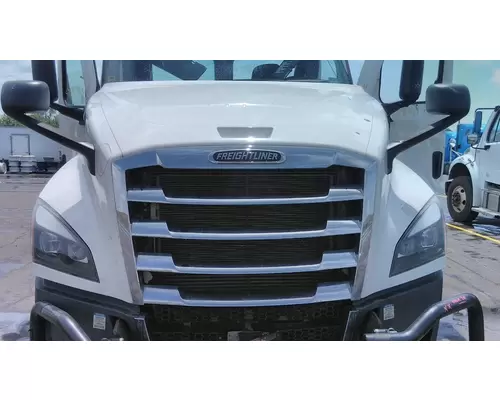 FREIGHTLINER CASCADIA 126 2017-2025 HOOD