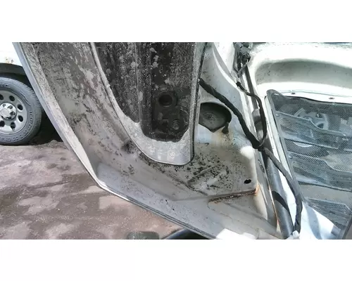 FREIGHTLINER CASCADIA 126 2017-2025 HOOD