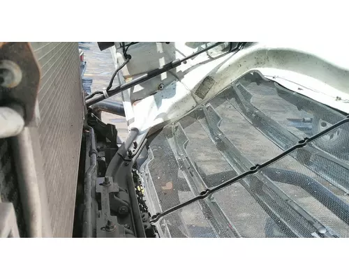 FREIGHTLINER CASCADIA 126 2017-2025 HOOD