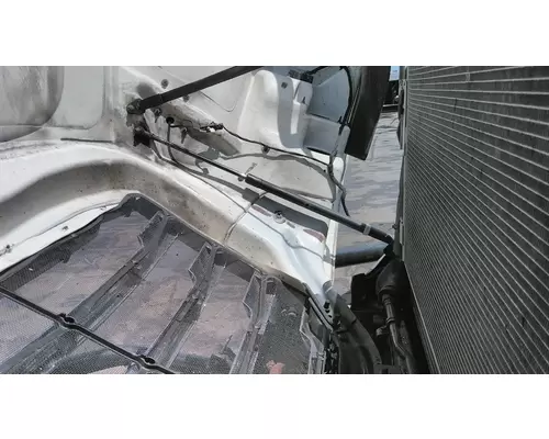 FREIGHTLINER CASCADIA 126 2017-2025 HOOD