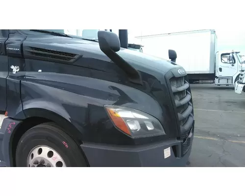 FREIGHTLINER CASCADIA 126 2017-2025 HOOD