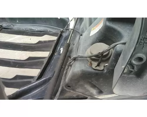 FREIGHTLINER CASCADIA 126 2017-2025 HOOD