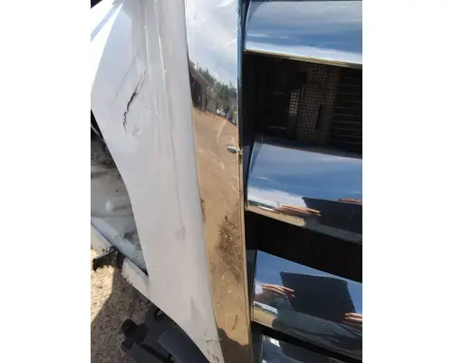 FREIGHTLINER CASCADIA 126 2019-2024 GRILLE