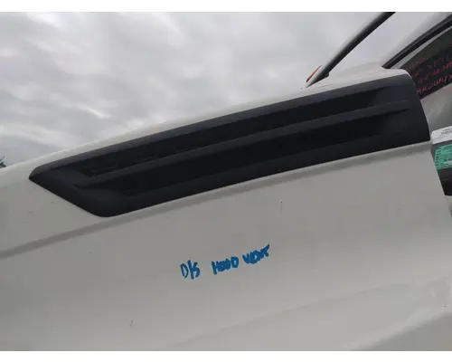 FREIGHTLINER CASCADIA 126 AIR INTAKE LOUVERCOVER