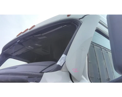 FREIGHTLINER CASCADIA 126 BODY PARTS, MISC.