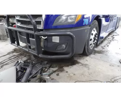 FREIGHTLINER CASCADIA 126 BUMPER BRUSH GUARD