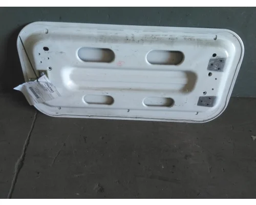 FREIGHTLINER CASCADIA 126 DOOR, COMPARTMENT